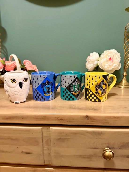 Warner Bros. Other - Harry Potter Mug Set Hedwig + Ravenclaw Slytherin Hufflepuff